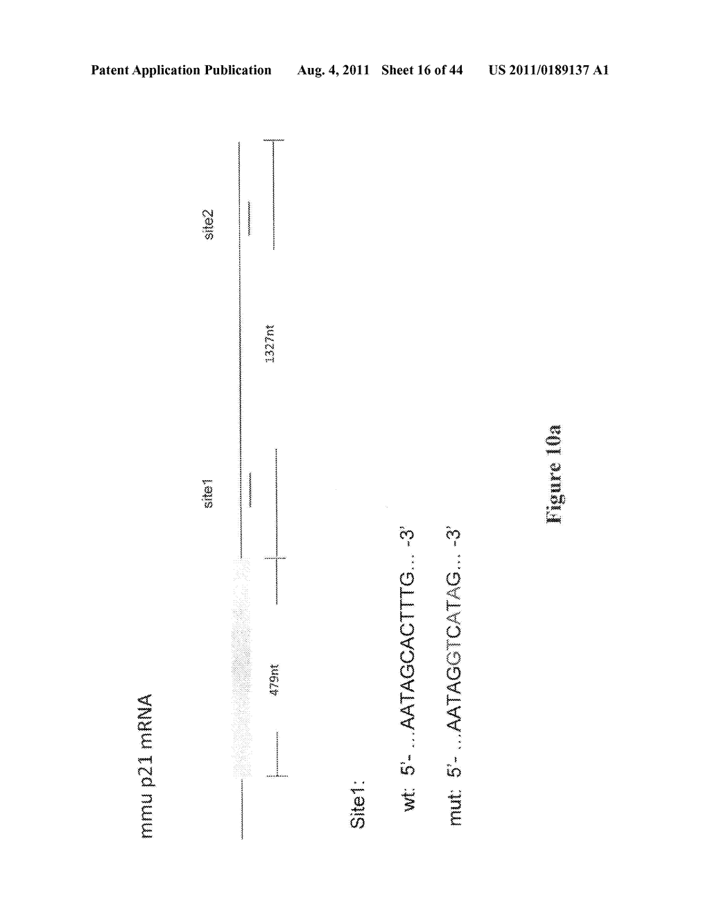 METHOD FOR GENERATION AND REGULATION OF IPS CELLS AND COMPOSITIONS THEREOF - diagram, schematic, and image 17