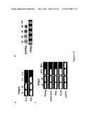 METHOD FOR GENERATION AND REGULATION OF IPS CELLS AND COMPOSITIONS THEREOF diagram and image