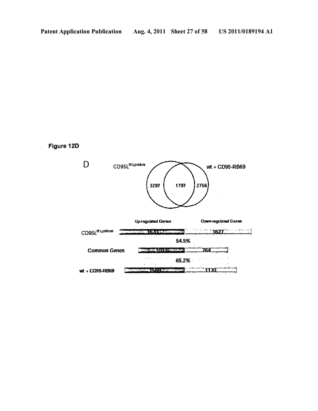 USE OF CD95 INHIBITORS FOR THE TREATMENT OF INFLAMMATORY DISORDERS - diagram, schematic, and image 28