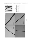 METHODS FOR P2RY5 MEDIATED REGULATION OF HAIR GROWTH AND MUTANTS THEREOF diagram and image