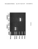 METHODS FOR P2RY5 MEDIATED REGULATION OF HAIR GROWTH AND MUTANTS THEREOF diagram and image