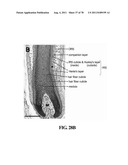 METHODS FOR P2RY5 MEDIATED REGULATION OF HAIR GROWTH AND MUTANTS THEREOF diagram and image