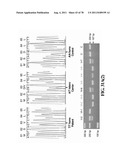 METHODS FOR P2RY5 MEDIATED REGULATION OF HAIR GROWTH AND MUTANTS THEREOF diagram and image