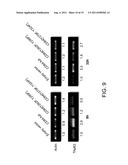 COMPOSITIONS COMPRISING SOLUBLE CD84 OR ANTI-CD84 ANTIBODIES AND METHODS     FOR DIAGNOSING AND TREATING B-CLL diagram and image