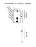 COMPOSITIONS COMPRISING SOLUBLE CD84 OR ANTI-CD84 ANTIBODIES AND METHODS     FOR DIAGNOSING AND TREATING B-CLL diagram and image