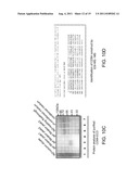 COMPOSITIONS COMPRISING SOLUBLE CD84 OR ANTI-CD84 ANTIBODIES AND METHODS     FOR DIAGNOSING AND TREATING B-CLL diagram and image