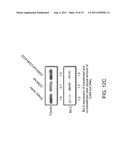 COMPOSITIONS COMPRISING SOLUBLE CD84 OR ANTI-CD84 ANTIBODIES AND METHODS     FOR DIAGNOSING AND TREATING B-CLL diagram and image