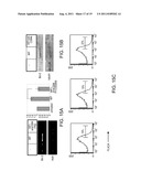 COMPOSITIONS COMPRISING SOLUBLE CD84 OR ANTI-CD84 ANTIBODIES AND METHODS     FOR DIAGNOSING AND TREATING B-CLL diagram and image