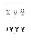 Antibody Targeting Through a Modular Recognition Domain diagram and image