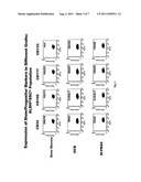 STEM CELL POPULATIONS AND METHODS OF USE diagram and image