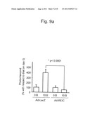 Therapeutic Agent for Malignant Mesothelioma and Immunostimulant diagram and image