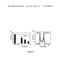 METHOD AND COMPOSITIONS FOR INHIBITION OF DOUBLE STRANDED DNA VIRUSES diagram and image