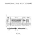 METHOD AND COMPOSITIONS FOR INHIBITION OF DOUBLE STRANDED DNA VIRUSES diagram and image