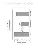 siRNA SILENCING OF APOLIPOPROTEIN B diagram and image