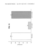 siRNA SILENCING OF APOLIPOPROTEIN B diagram and image