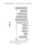 siRNA SILENCING OF APOLIPOPROTEIN B diagram and image