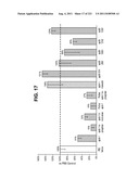 siRNA SILENCING OF APOLIPOPROTEIN B diagram and image