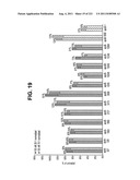 siRNA SILENCING OF APOLIPOPROTEIN B diagram and image