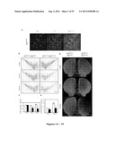 METHODS TO TREAT NEURODEGENERATIVE CONDITIONS OR DISEASES BY TARGETING     COMPONENTS OF A PTEN SIGNALING PATHWAY diagram and image