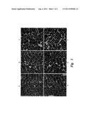 Gram-Scale Synthesis of Well-Defined Gold Nanorods diagram and image