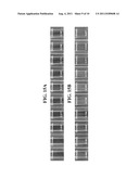 PHOTORESIST COMPOSITION FOR FABRICATING PROBE ARRAY, METHOD OF FABRICATING     PROBE ARRAY USING THE PHOTORESIST COMPOSITION, COMPOSITION FOR     PHOTOSENSITIVE TYPE DEVELOPED BOTTOM ANTI-REFLECTIVE COATING, FABRICATING     METHOD OF PATTERNS USING THE SAME AND FABRICATING METHOD OF SEMICONDUCTOR     DEVICE USING THE SAME diagram and image