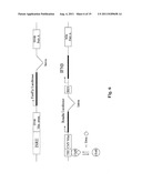 CELL, METHOD AND KIT FOR CONDUCTING AN ASSAY FOR NEUTRALIZING ANTIBODIES diagram and image