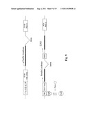 CELL, METHOD AND KIT FOR CONDUCTING AN ASSAY FOR NEUTRALIZING ANTIBODIES diagram and image