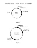 CELL, METHOD AND KIT FOR CONDUCTING AN ASSAY FOR NEUTRALIZING ANTIBODIES diagram and image