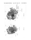 Generation of modified polymerases for improved accuracy in single     molecule sequencing diagram and image