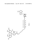 Generation of modified polymerases for improved accuracy in single     molecule sequencing diagram and image