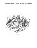 Generation of modified polymerases for improved accuracy in single     molecule sequencing diagram and image