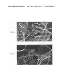 Generation of modified polymerases for improved accuracy in single     molecule sequencing diagram and image