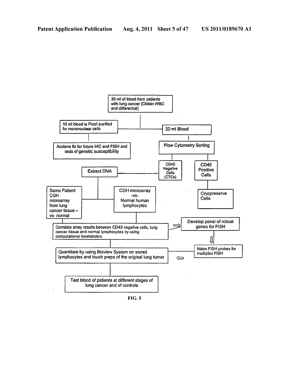 Circulating Tumor and Tumor Stem Cell Detection Using Genomic Specific     Probes - diagram, schematic, and image 06