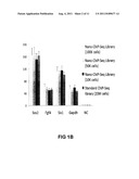 Methods For Preparing Sequencing Libraries diagram and image