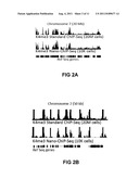 Methods For Preparing Sequencing Libraries diagram and image