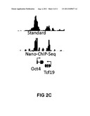 Methods For Preparing Sequencing Libraries diagram and image