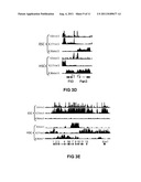 Methods For Preparing Sequencing Libraries diagram and image