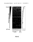 Methods For Preparing Sequencing Libraries diagram and image