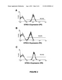 MONOCLONAL ANTIBODY STRO-4 diagram and image