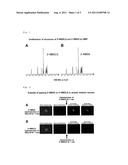 METHOD FOR EVALUATING SPECIFIC INCORPORATION OF D-GLUCOSE INTO CELLS diagram and image