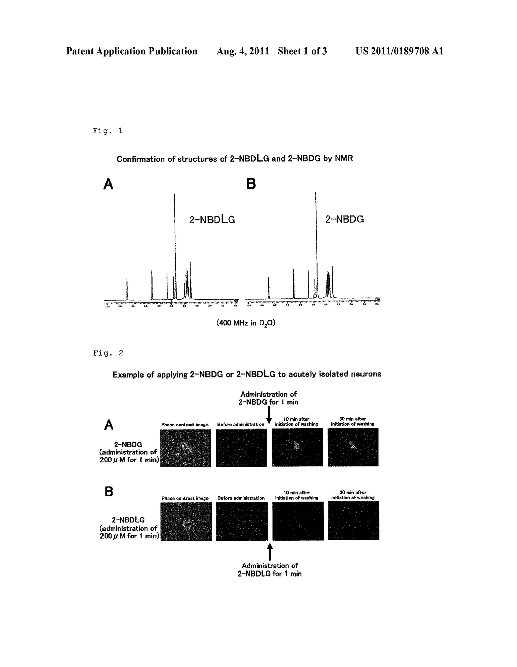 METHOD FOR EVALUATING SPECIFIC INCORPORATION OF D-GLUCOSE INTO CELLS - diagram, schematic, and image 02