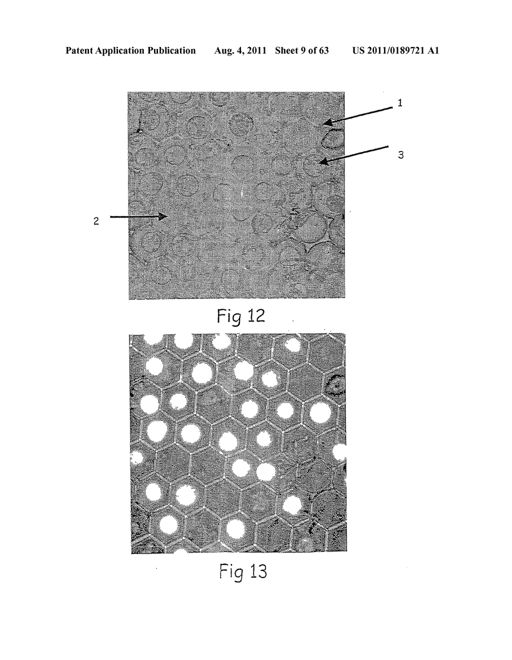 INTERACTIVE TRANSPARENT INDIVIDUAL CELLS BIOCHIP PROCESSOR - diagram, schematic, and image 10