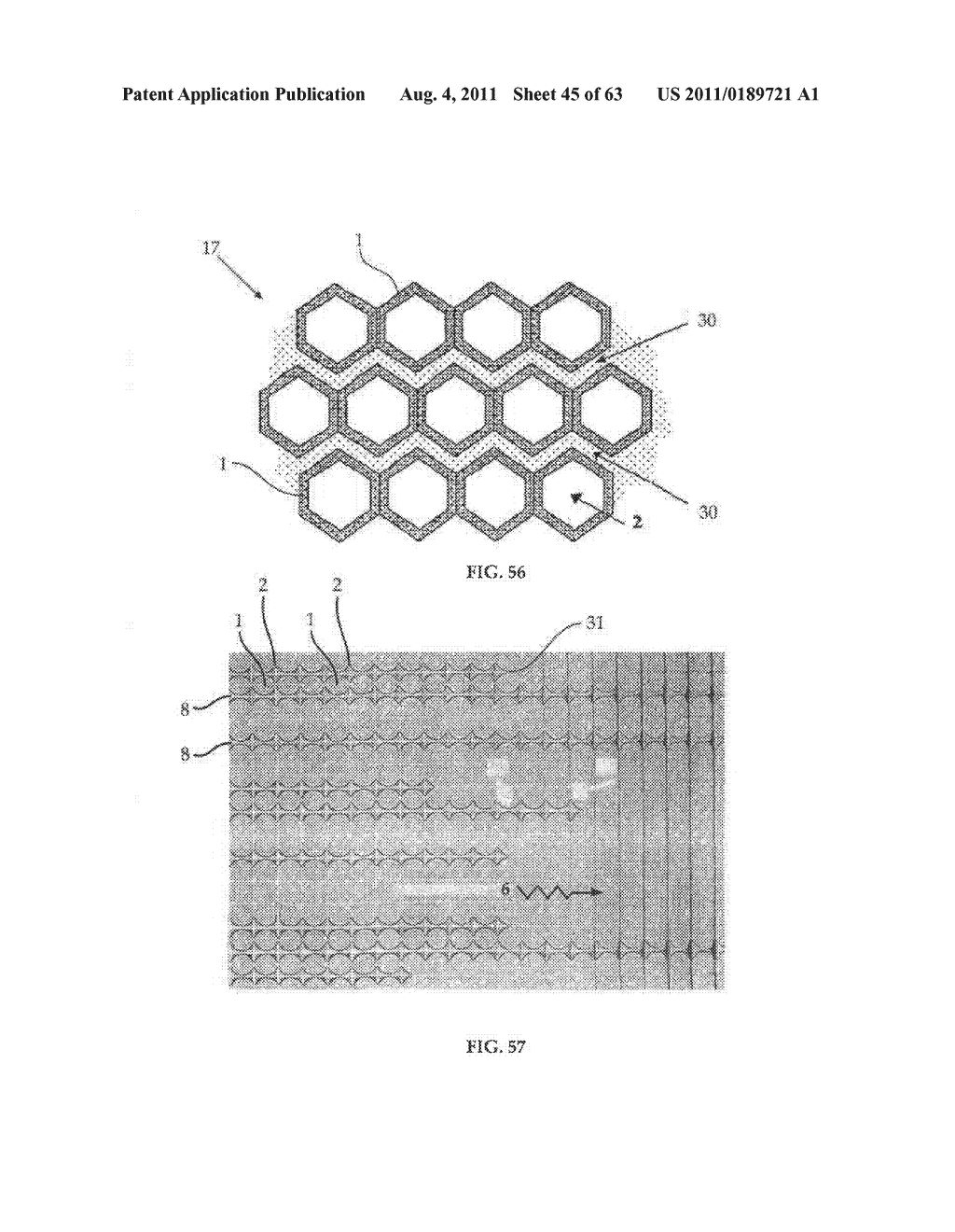 INTERACTIVE TRANSPARENT INDIVIDUAL CELLS BIOCHIP PROCESSOR - diagram, schematic, and image 46