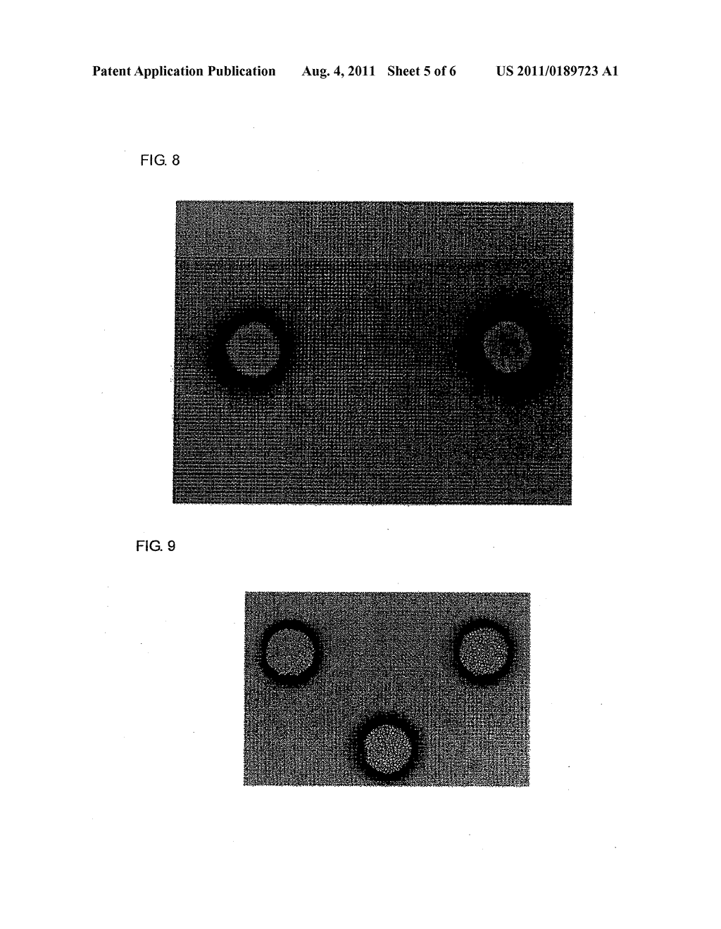 CELL DETECTION METHOD, AND MICROARRAY CHIP FOR USE IN THE METHOD - diagram, schematic, and image 06