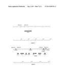 PENTOSE SUGAR FERMENTING CELL diagram and image