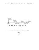 PENTOSE SUGAR FERMENTING CELL diagram and image