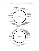 MICROBIAL SYSTEMS FOR PRODUCING COMMODITY CHEMICALS diagram and image