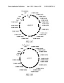 MICROBIAL SYSTEMS FOR PRODUCING COMMODITY CHEMICALS diagram and image