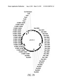 MICROBIAL SYSTEMS FOR PRODUCING COMMODITY CHEMICALS diagram and image