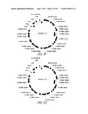 MICROBIAL SYSTEMS FOR PRODUCING COMMODITY CHEMICALS diagram and image